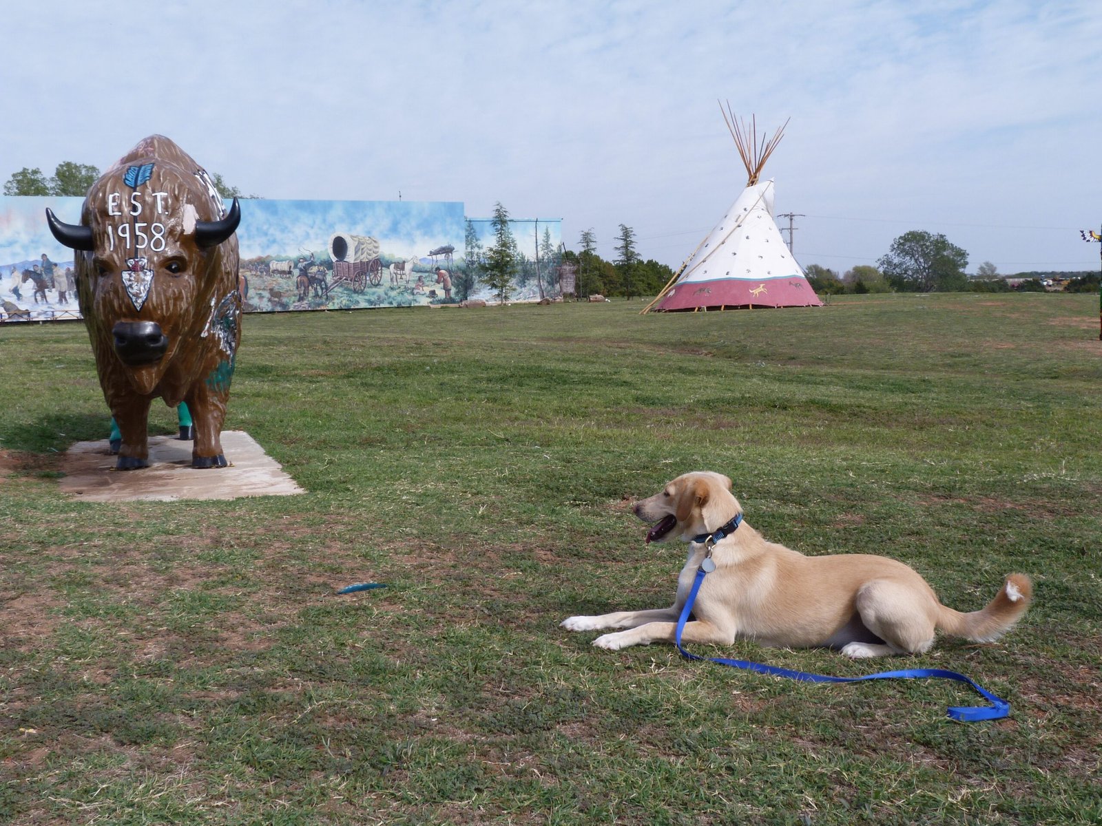 Day 18: AR, TX, OK, TX