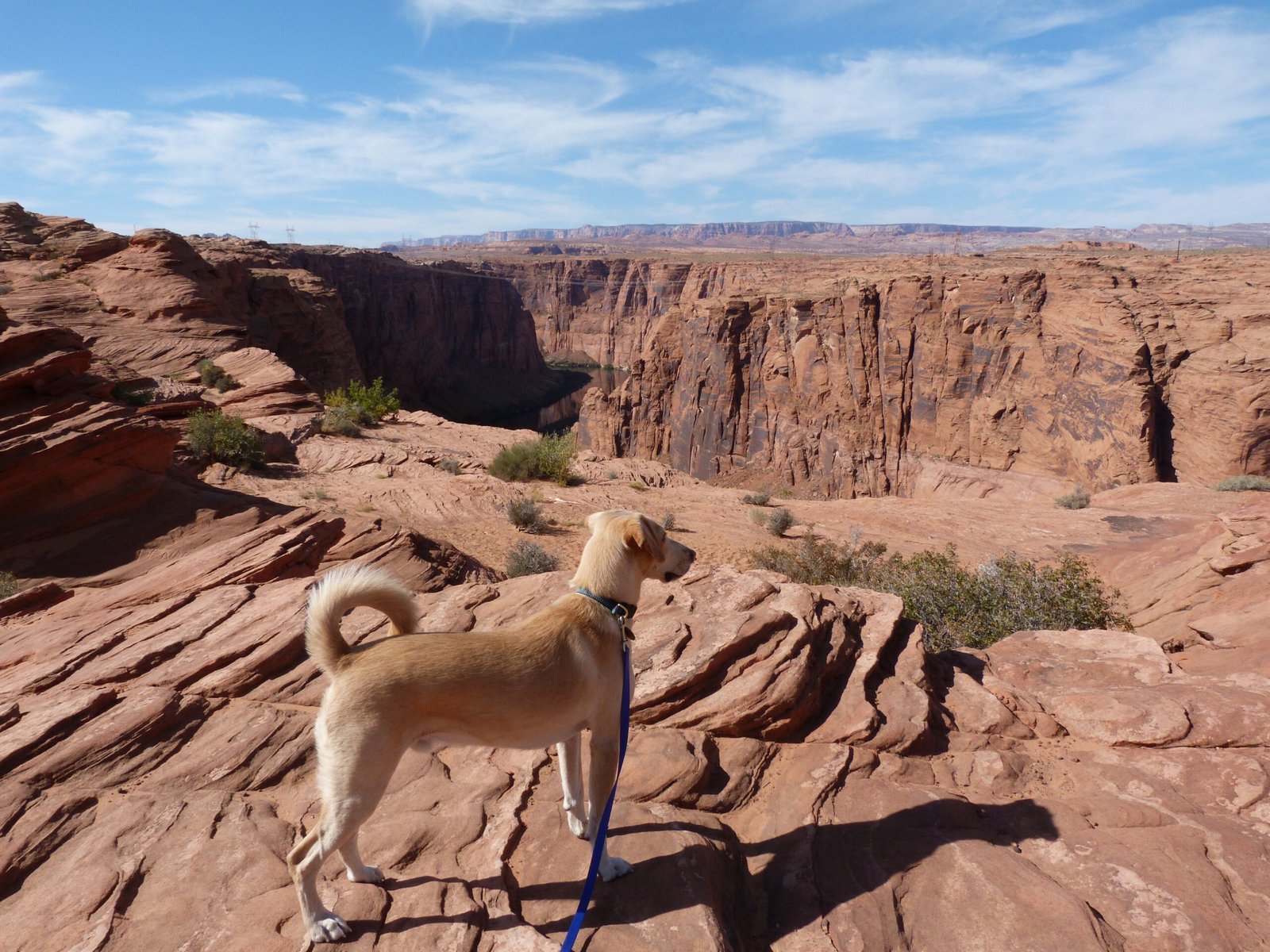 Day 20: CO, NM, AZ, UT, NV