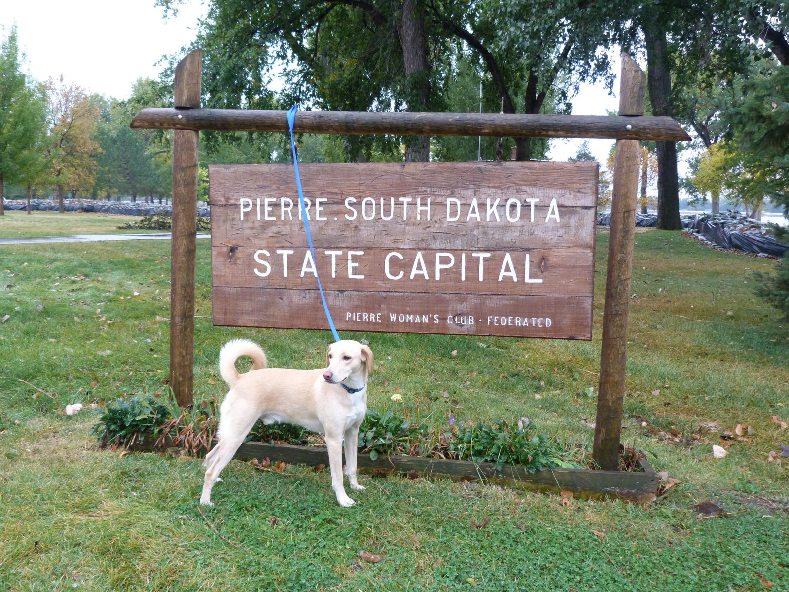 Day 5: SD, ND