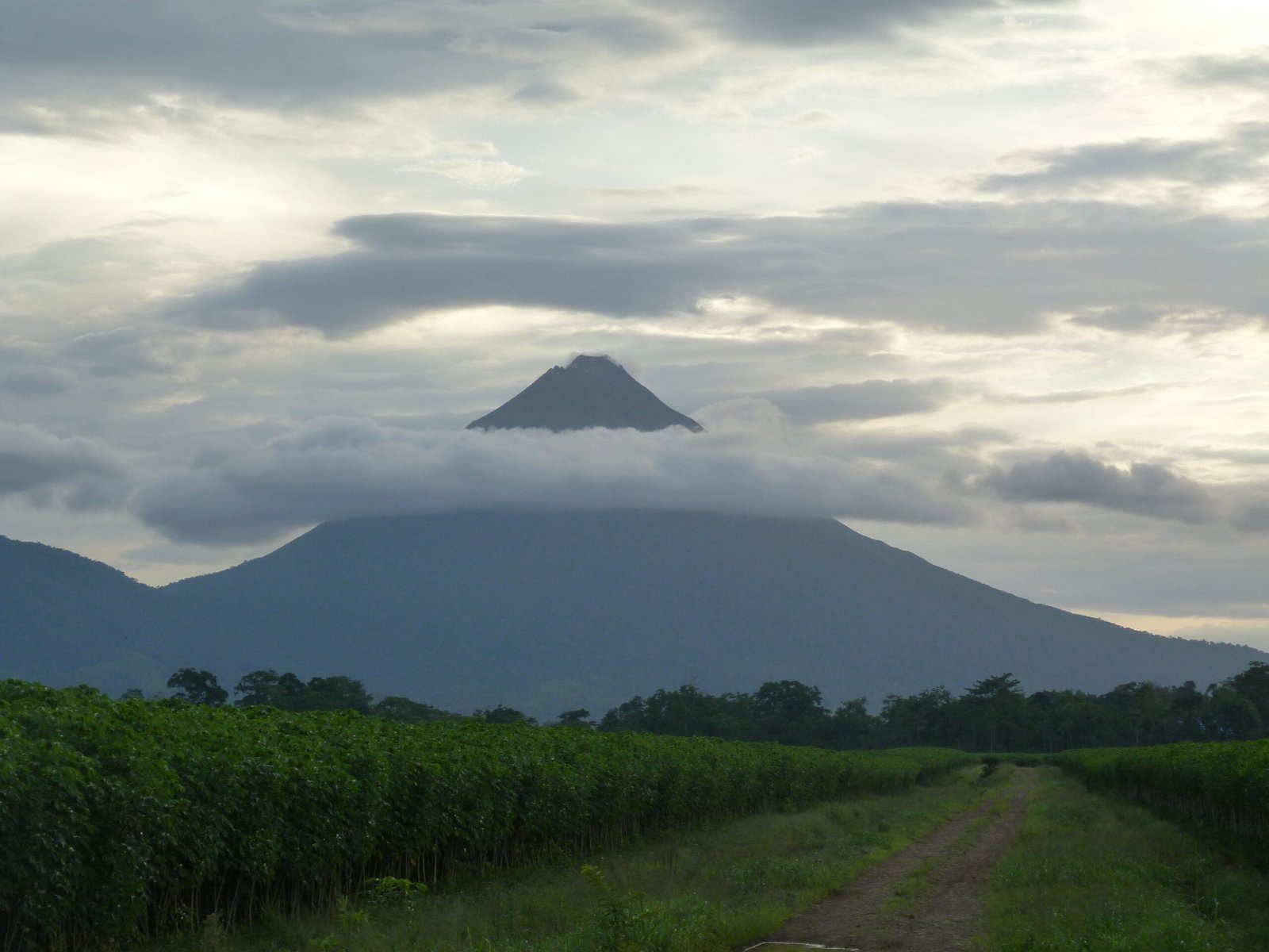 August 10, 2013 / San José (CR) → Arenal Volcano Inn