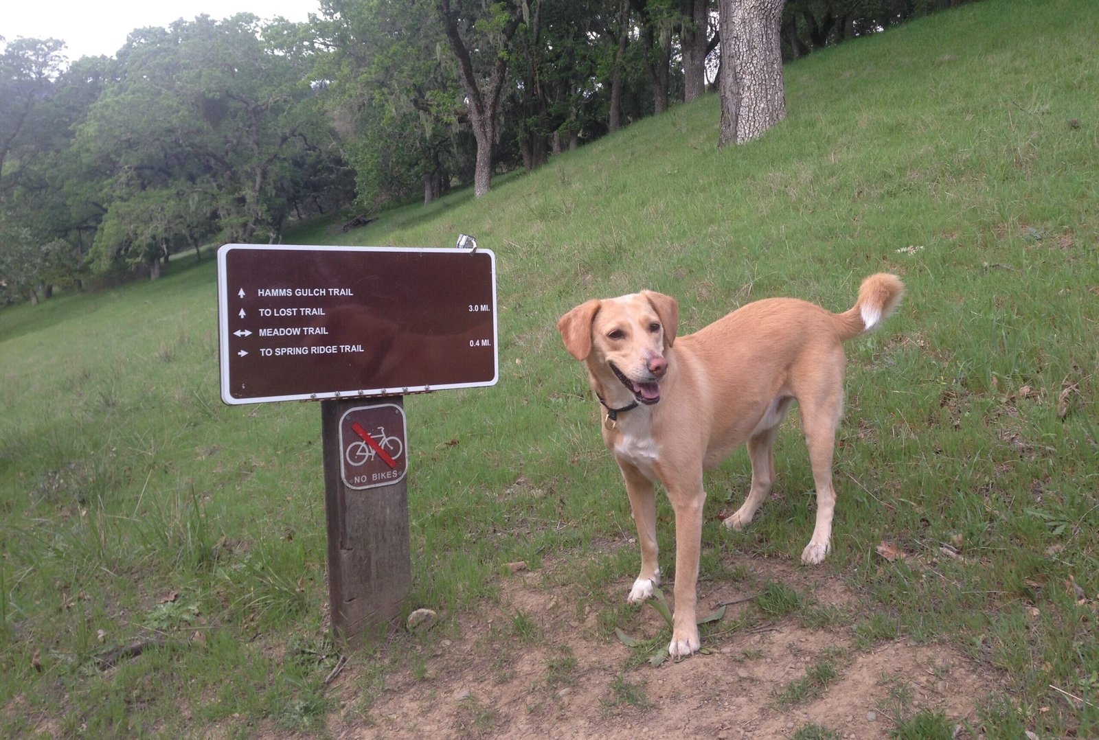 Windy Hill OSP