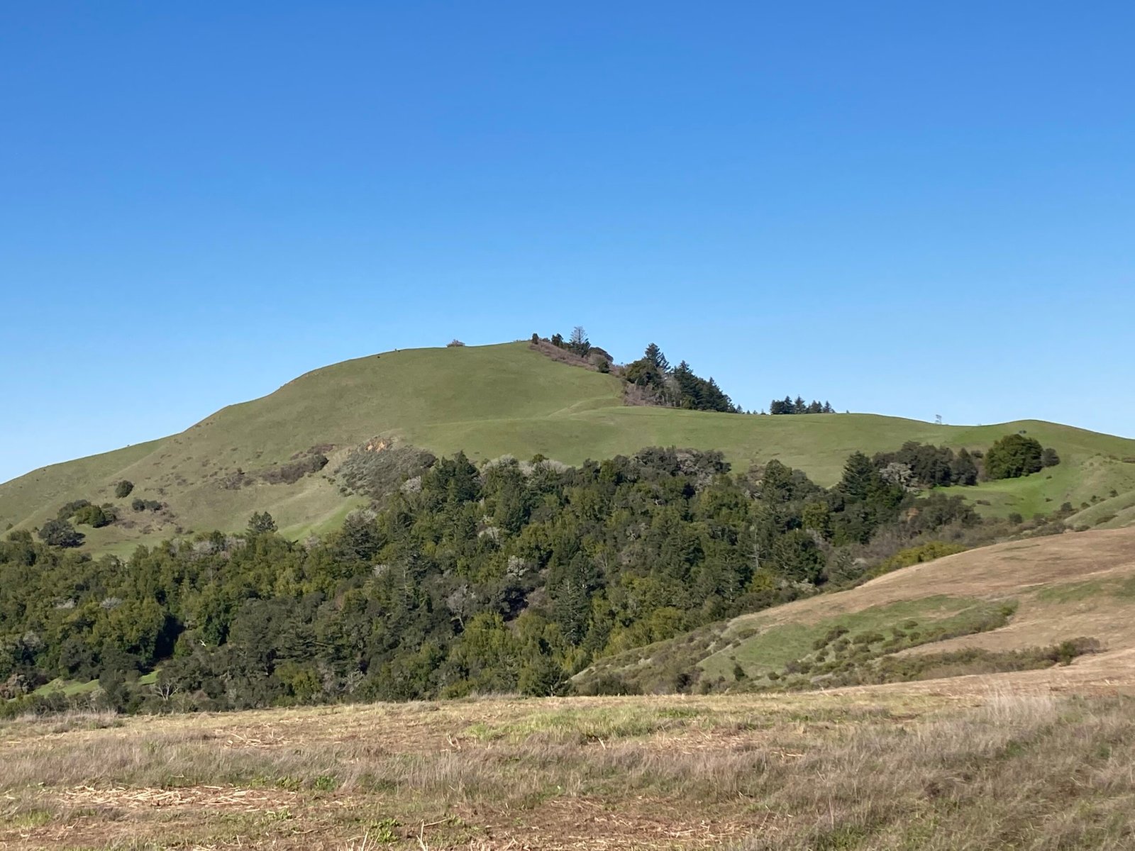 Mindego Hill