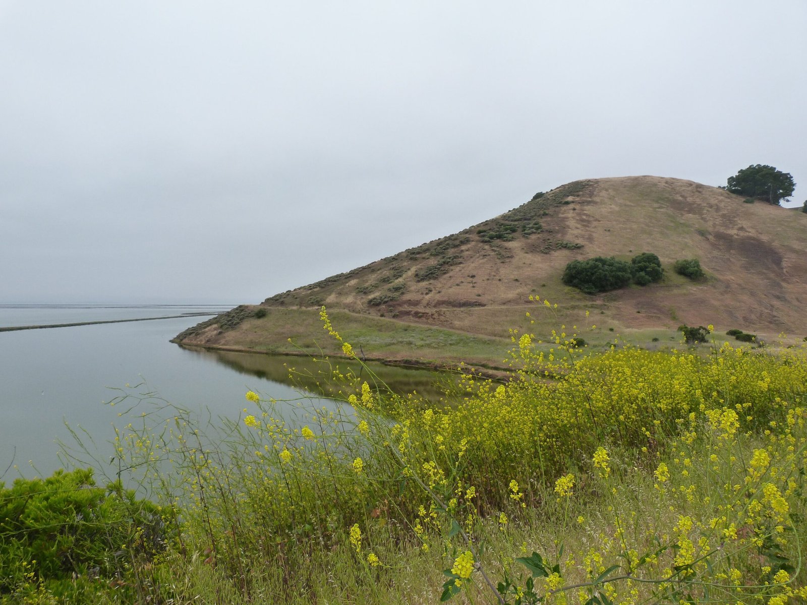 Day 2: Newark → San Leandro