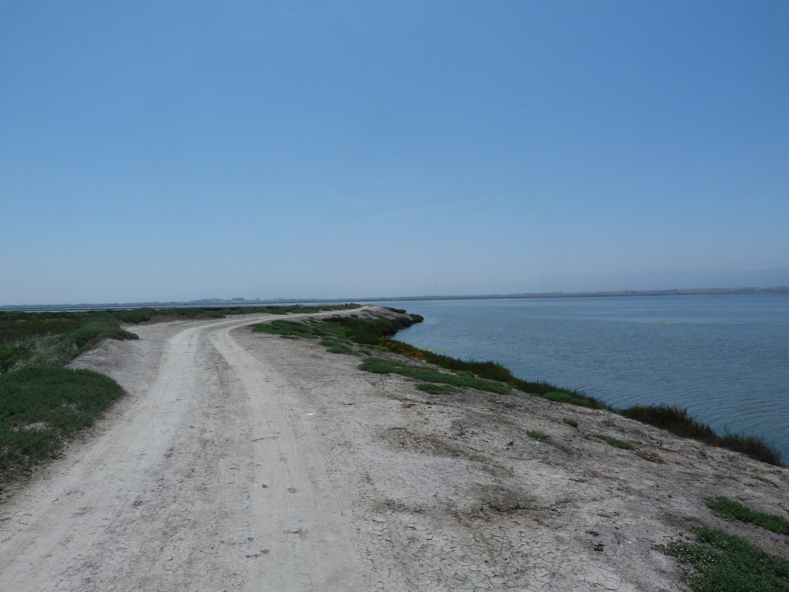 Day 7: Mountain View → Alviso