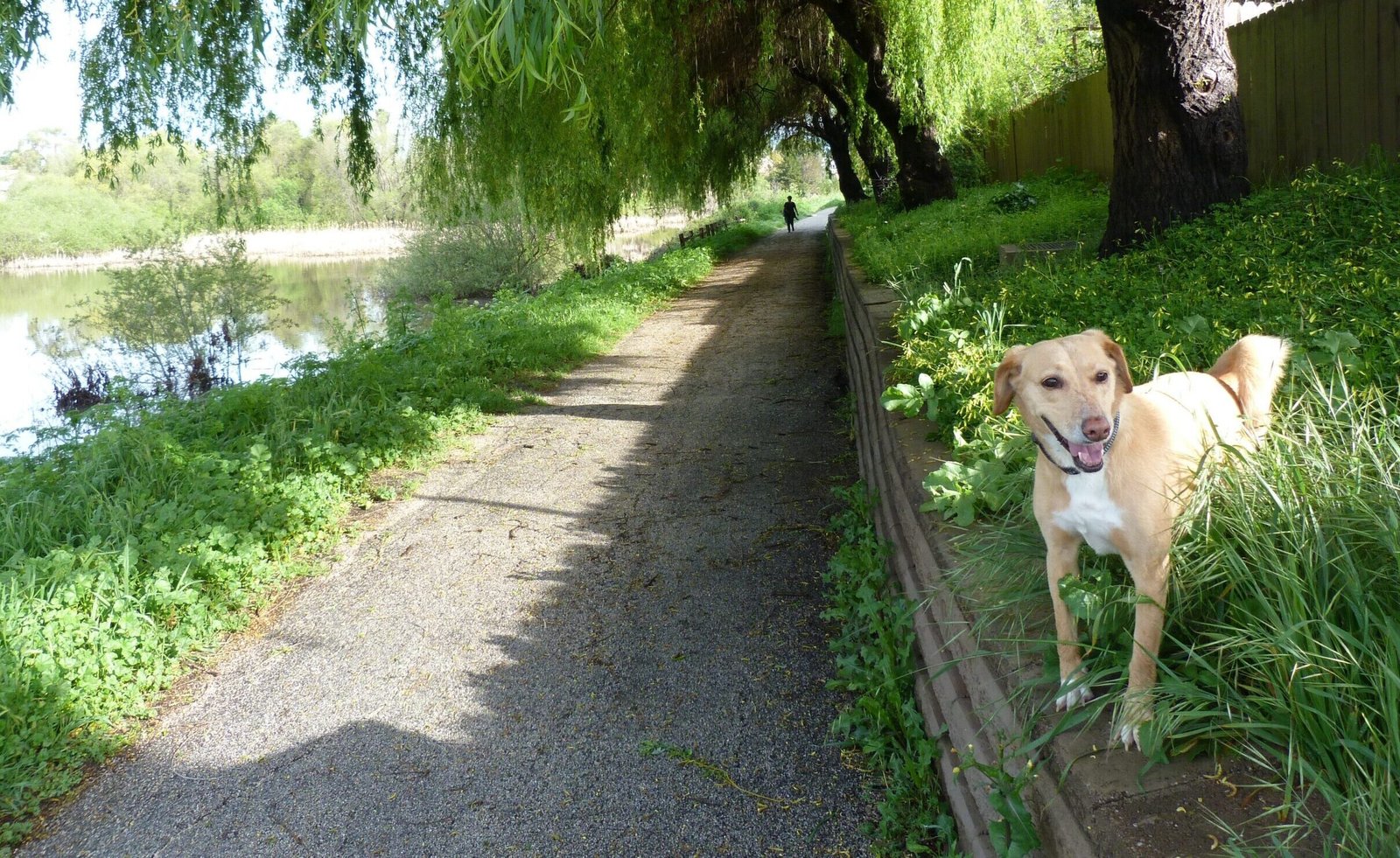 Watsonville Wetlands