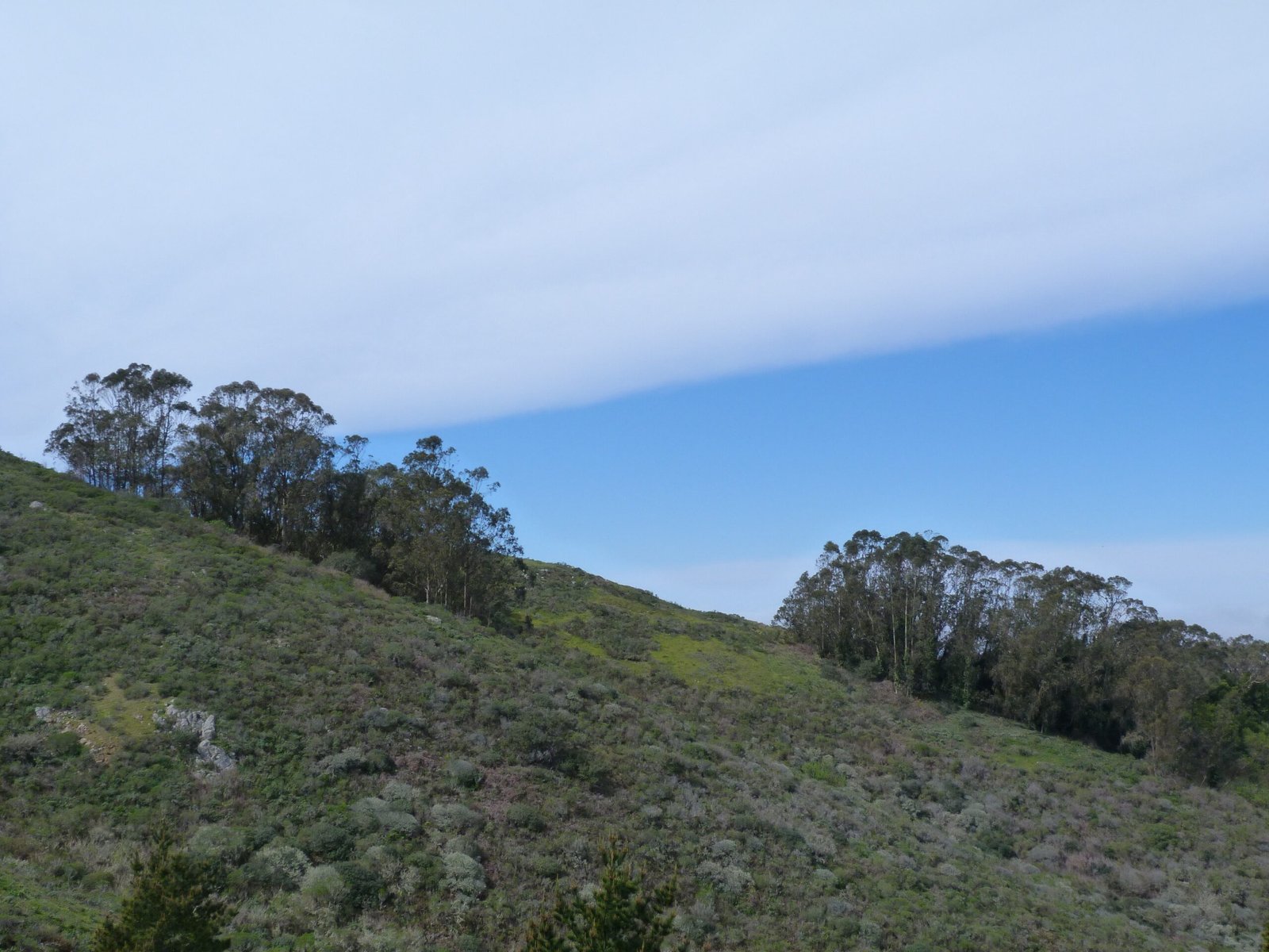 San Bruno Mountain State Park