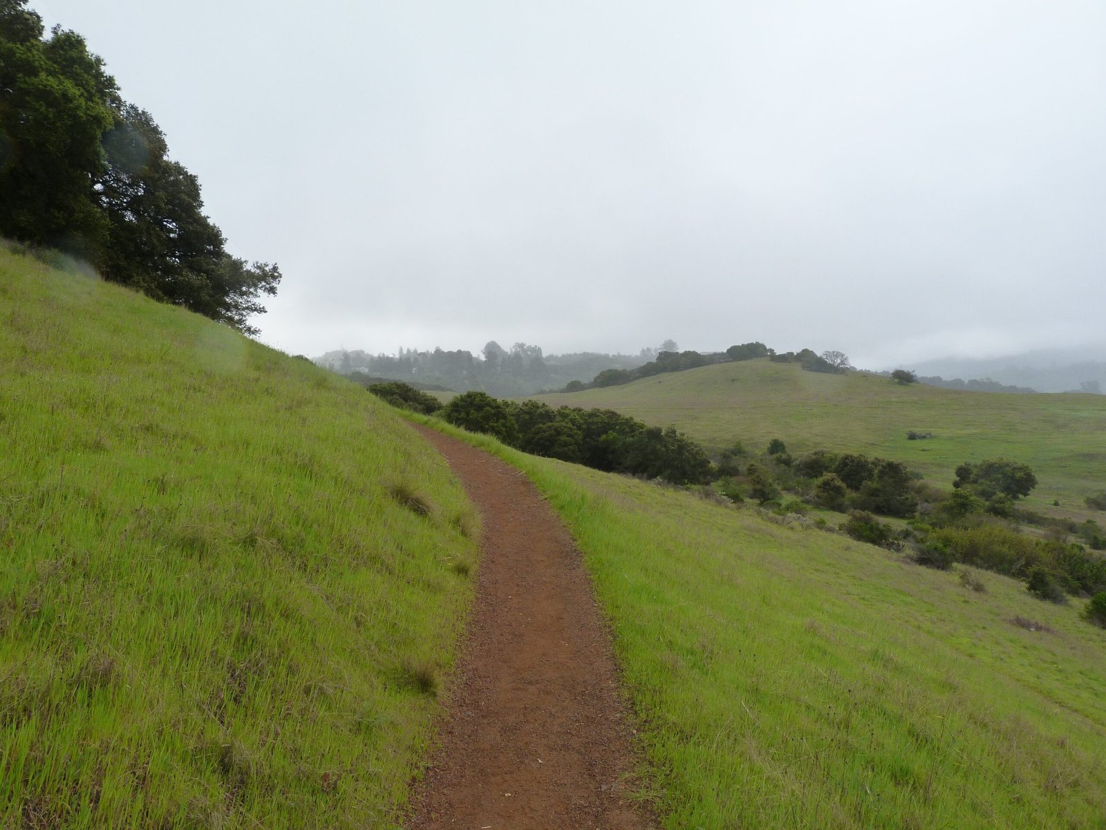 Edgewood, Ridgeview & Franciscan trails