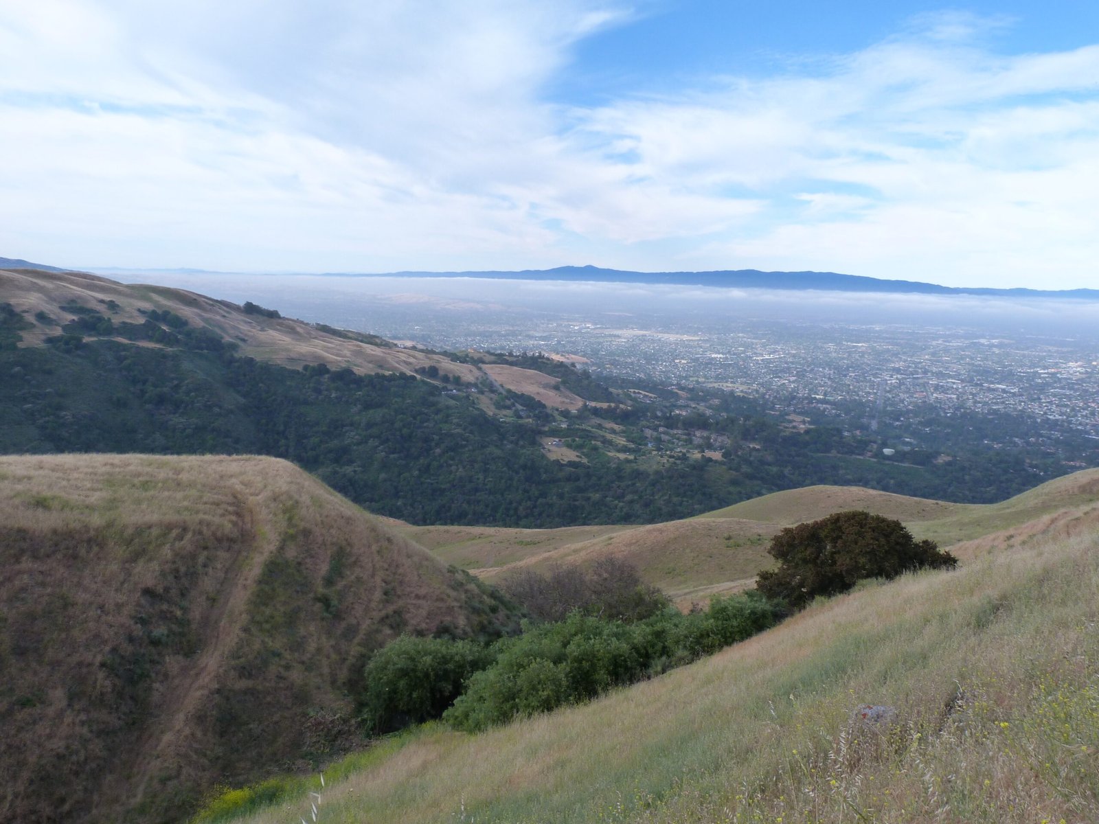 Boccardo Loop Trail