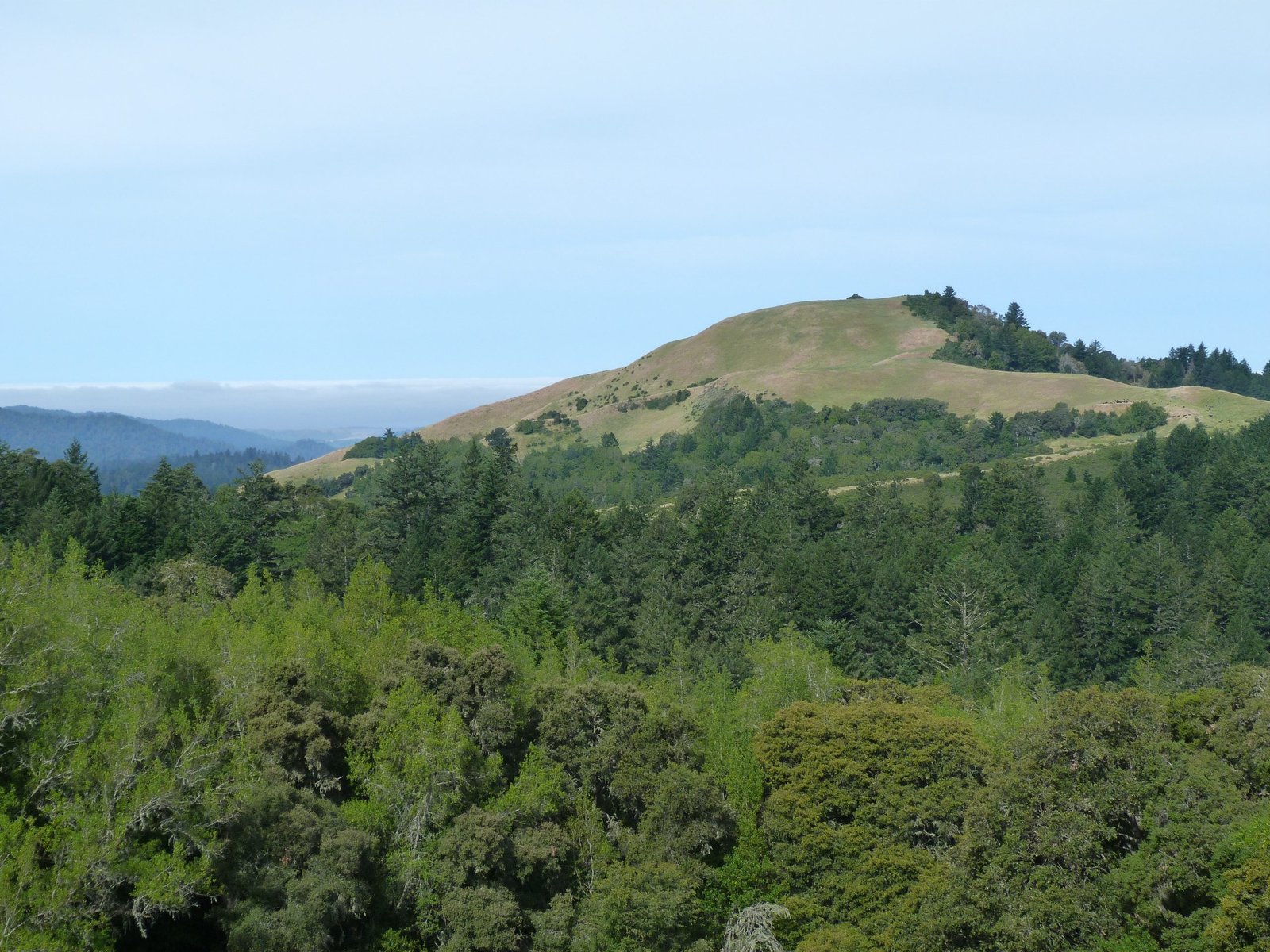 Borel Hill