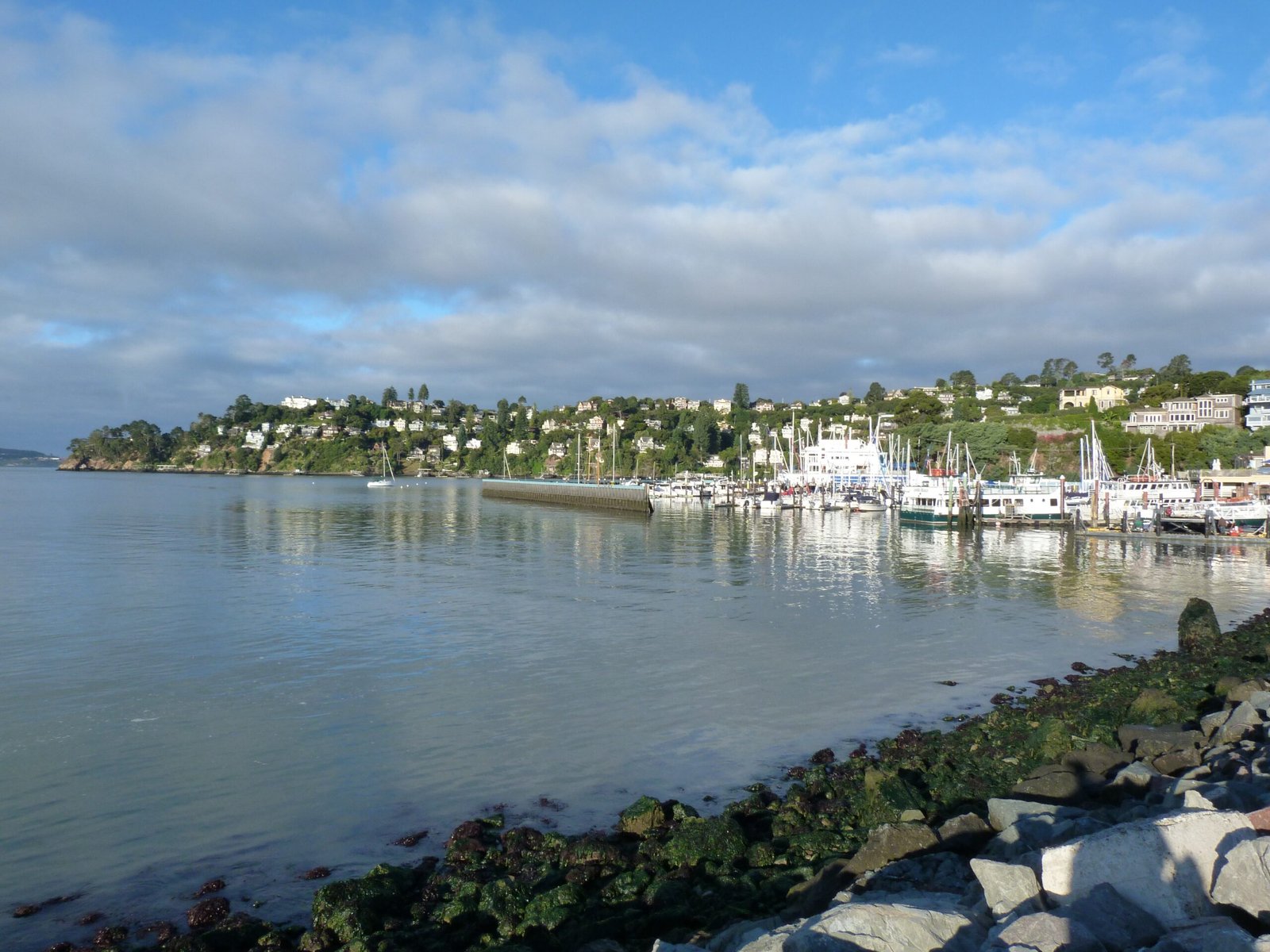 Day 9 Part 1: Tiburon → Larkspur