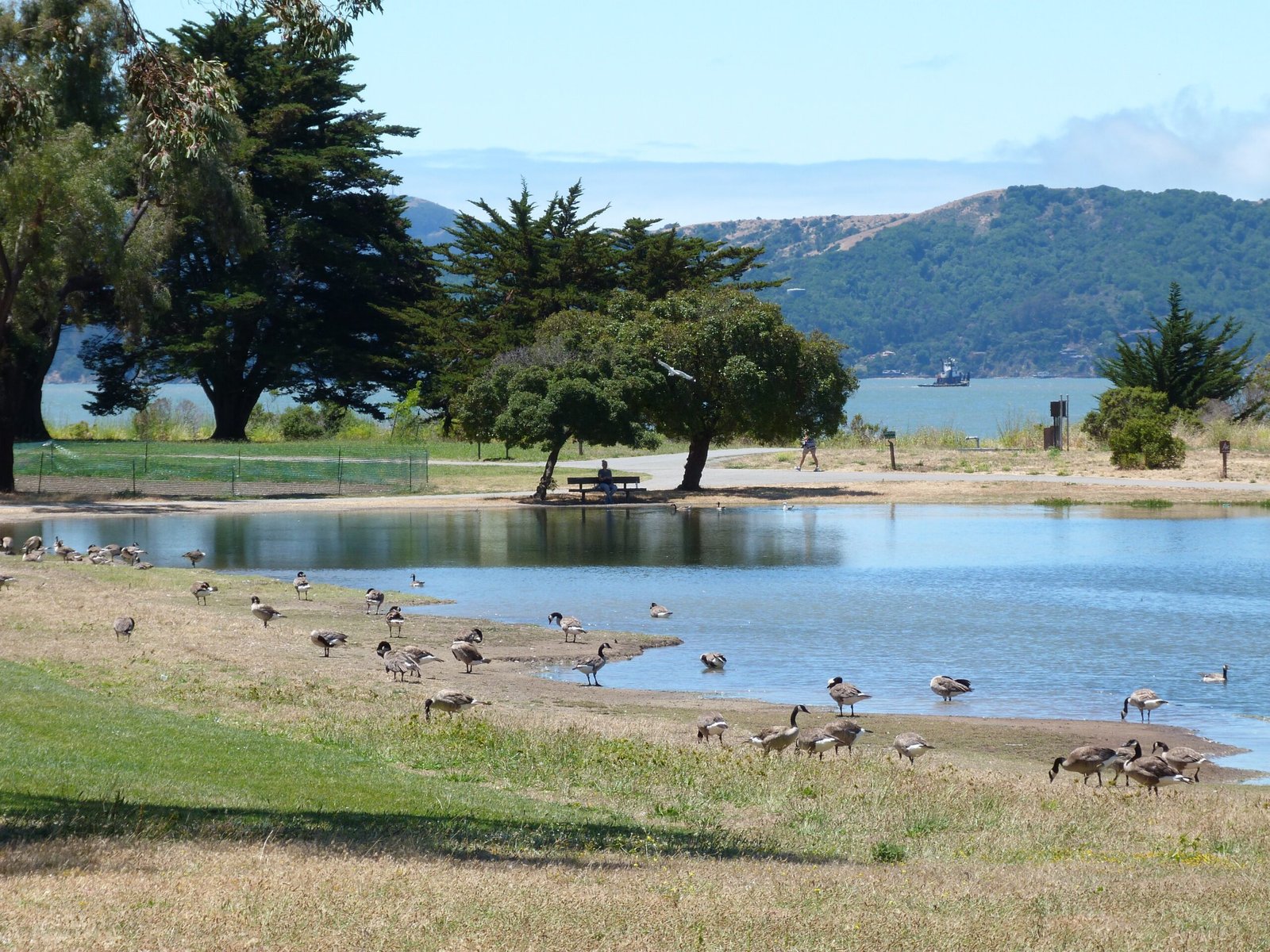 Day 9 Part 2: Richmond → El Cerrito