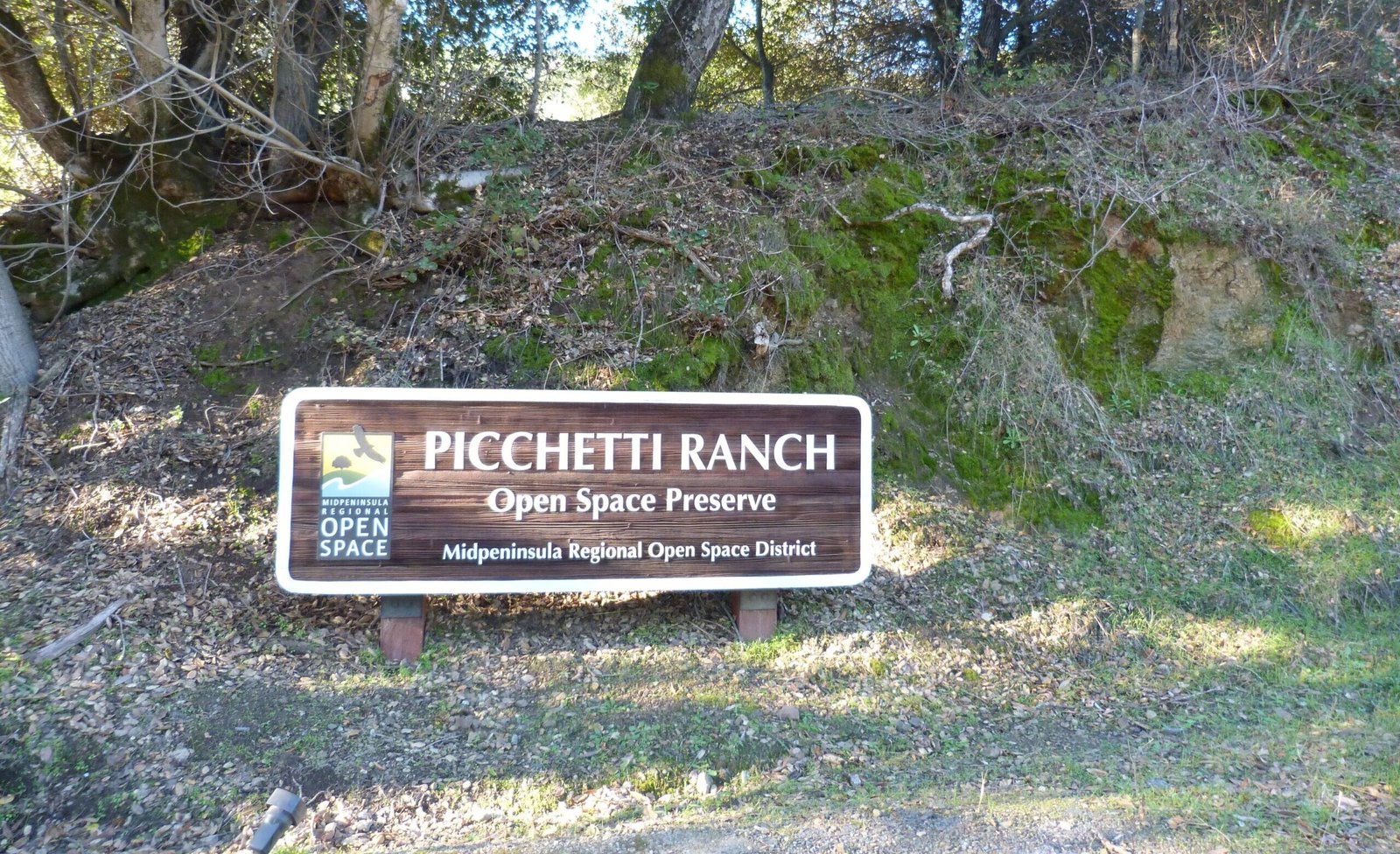 Picchetti Ranch OSP